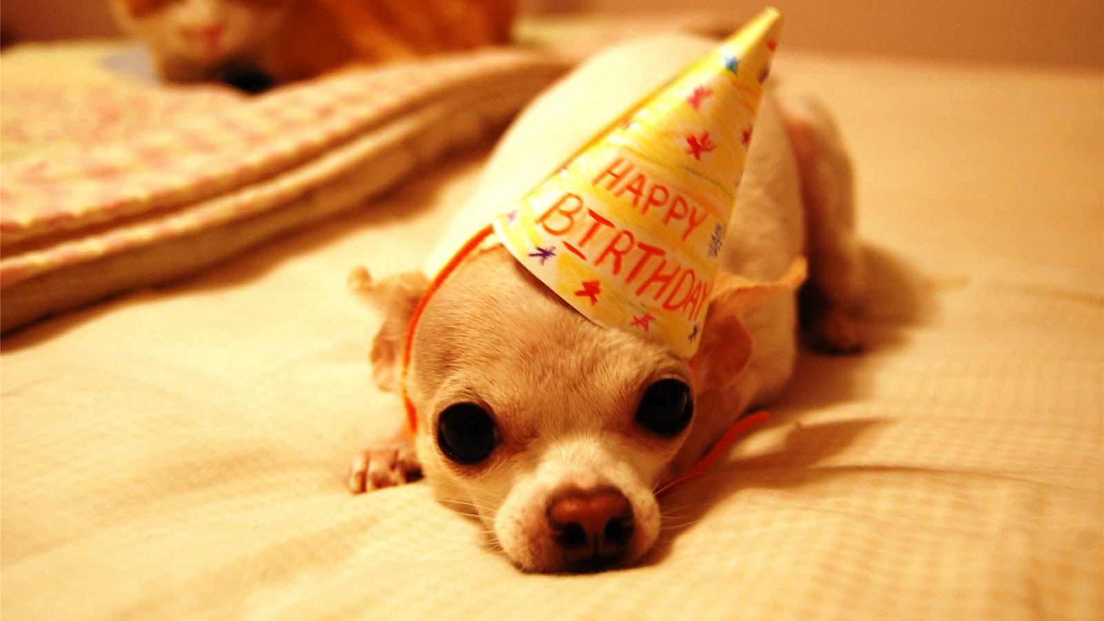 Funny Happy Birthday Wishes_1