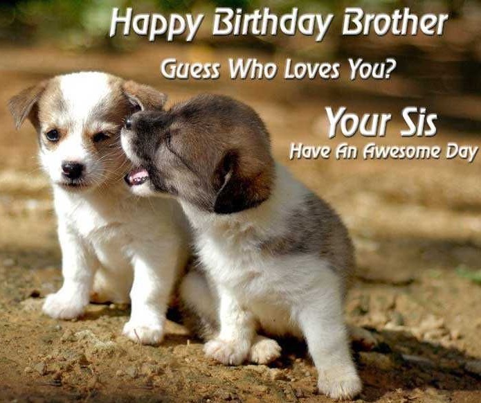 Happy Birthday Brother images