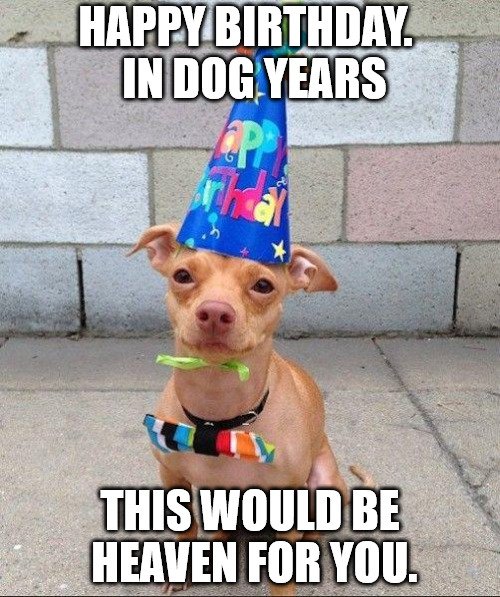 Funny Birthday Quotes Images