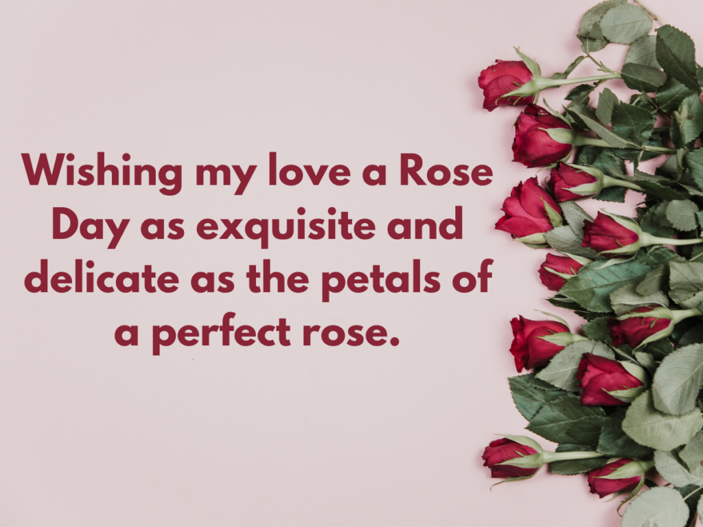 rose day wishes images