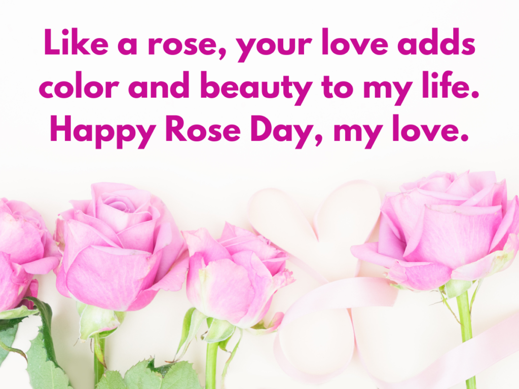 rose day wishes messages