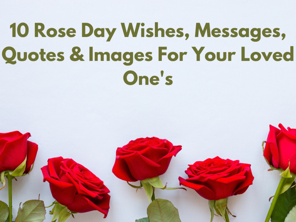 Rose day wishes