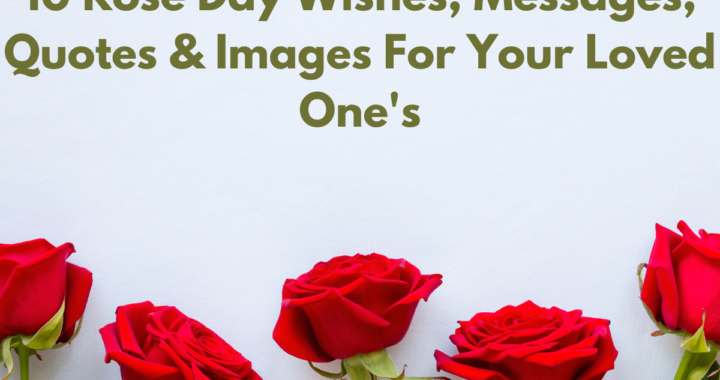 Rose day wishes